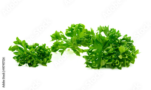 Parsley on a white background.green leaves of parsley isolated on white background