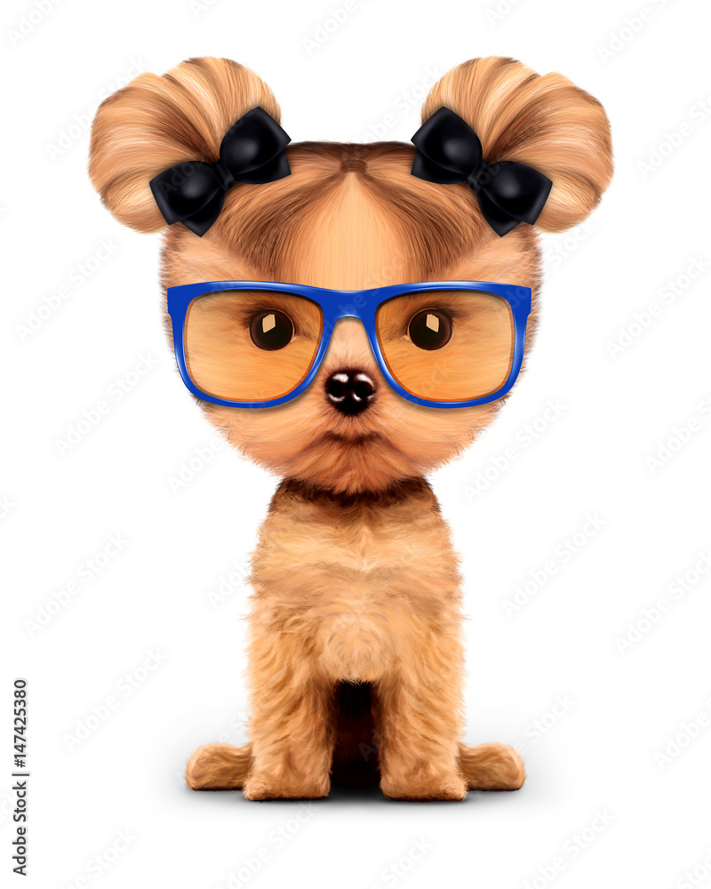 Adorable doggy with sunglasses, isolated on white.