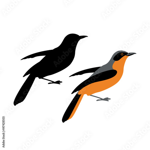 tanager vector illustration style Flat silhouette