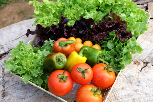 Organic vegetables in basket