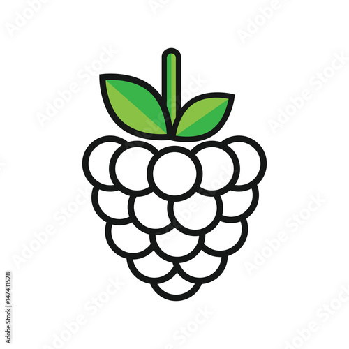 cartoon raspberry outline