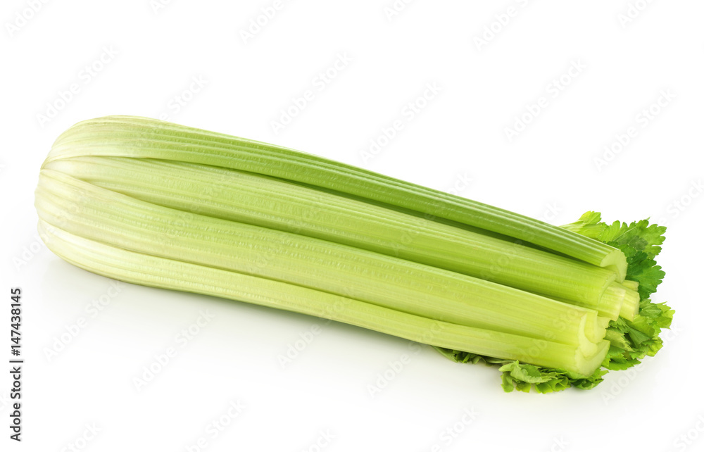 Celery isolated on white background Celery isolated on white background