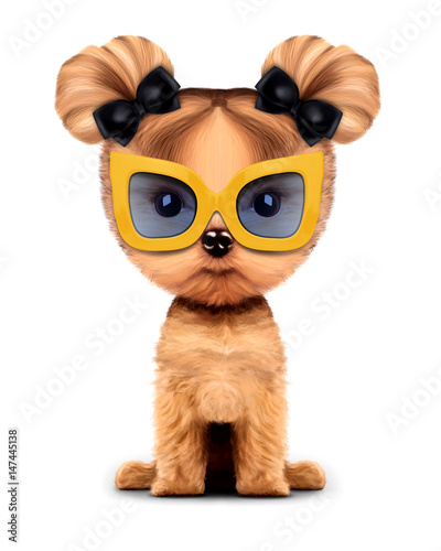 Adorable doggy with sunglasses, isolated on white. © boule1301