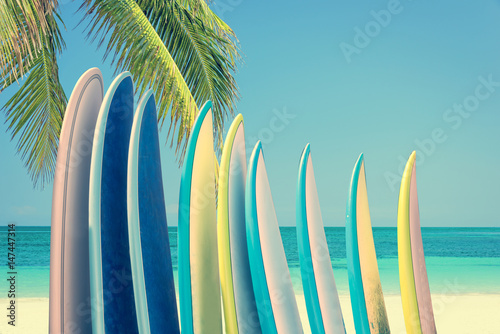Fototapeta Naklejka Na Ścianę i Meble -  Stack of colorful surfboards on a tropical beach by the ocean with palm tree, retro vintage filter