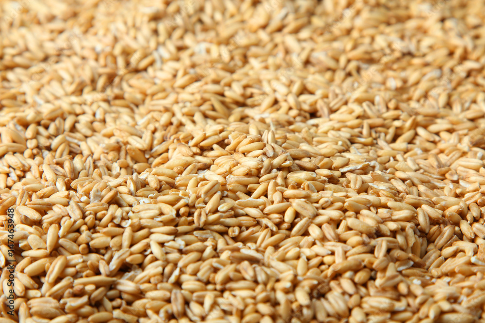 Oat groats