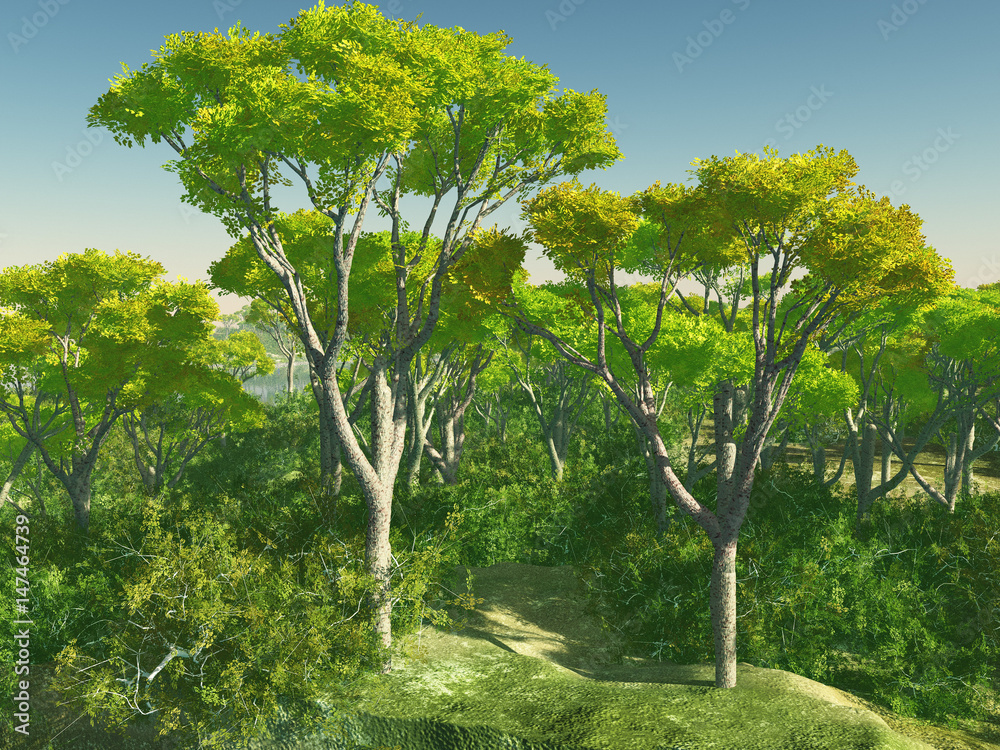 Bush trees in Australia 3d rendering