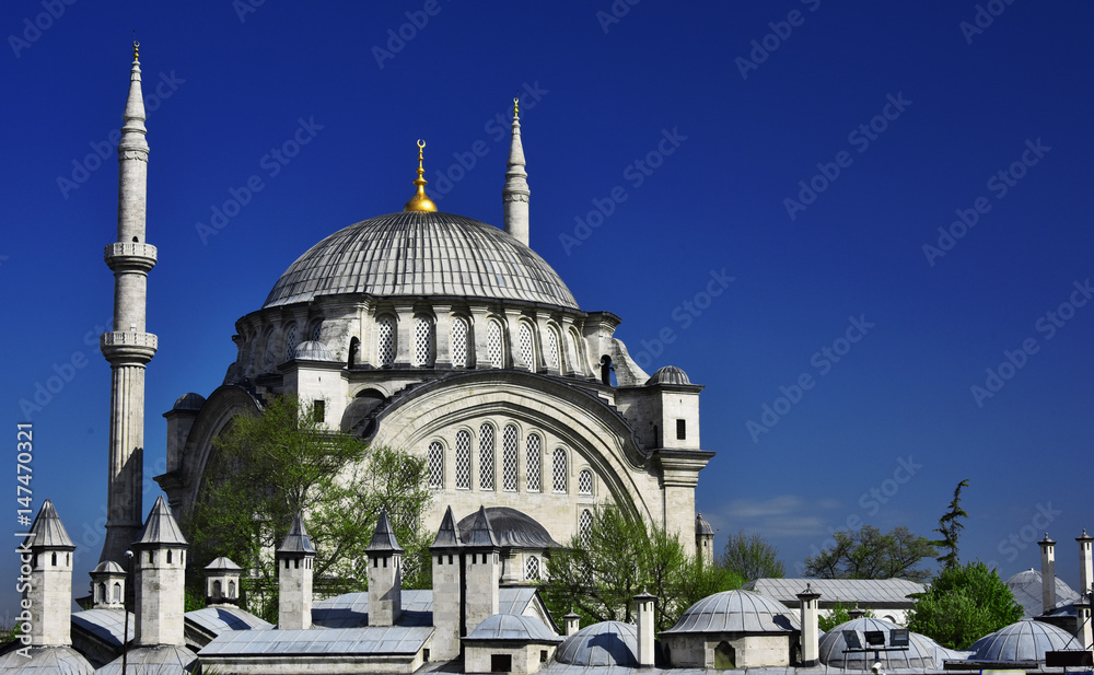 Naklejka premium Nuruosmaniye Mosque in Istanbul, Turkey