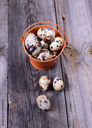 Fresh quail eggs in a bucket