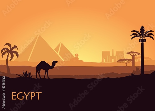 Camel in wild Africa pyramids landscape background illustration