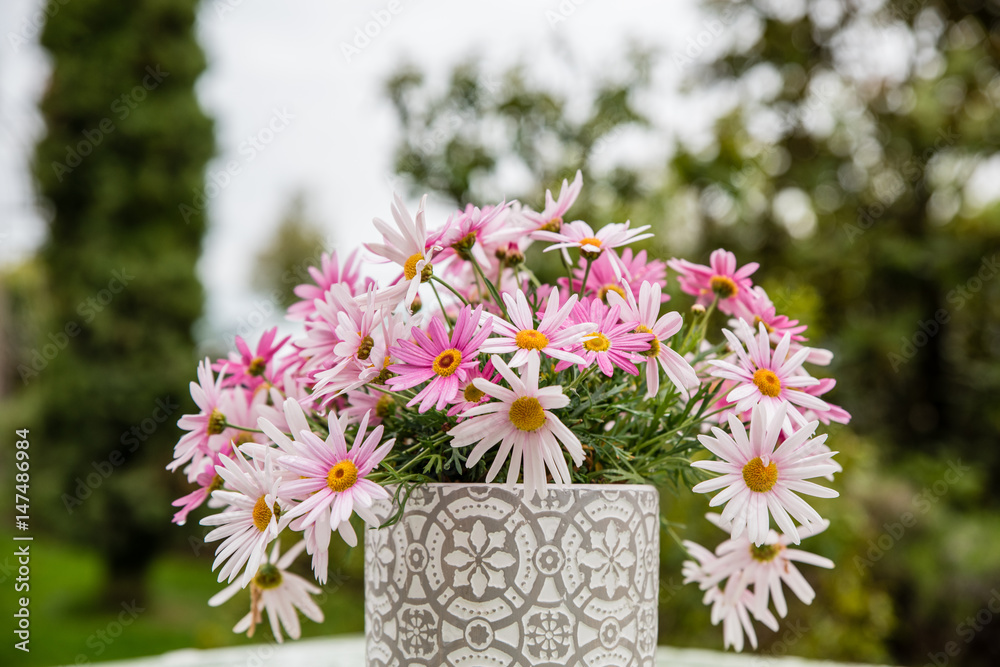 Fototapeta premium dekorativer Blumentopf 