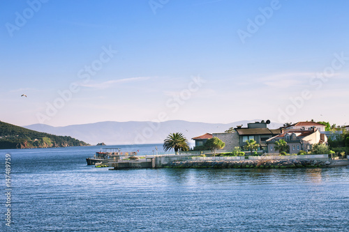 Fragment of the island with palm trees and cottages in the sea © alexlukin