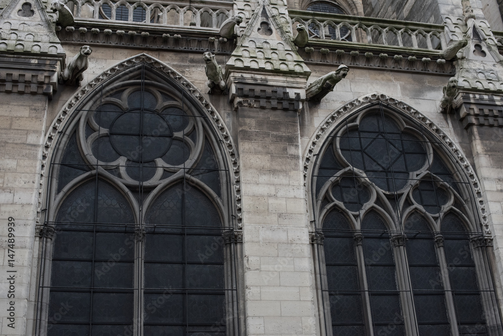 Notre Dame Cathedral Detail, Paris,France