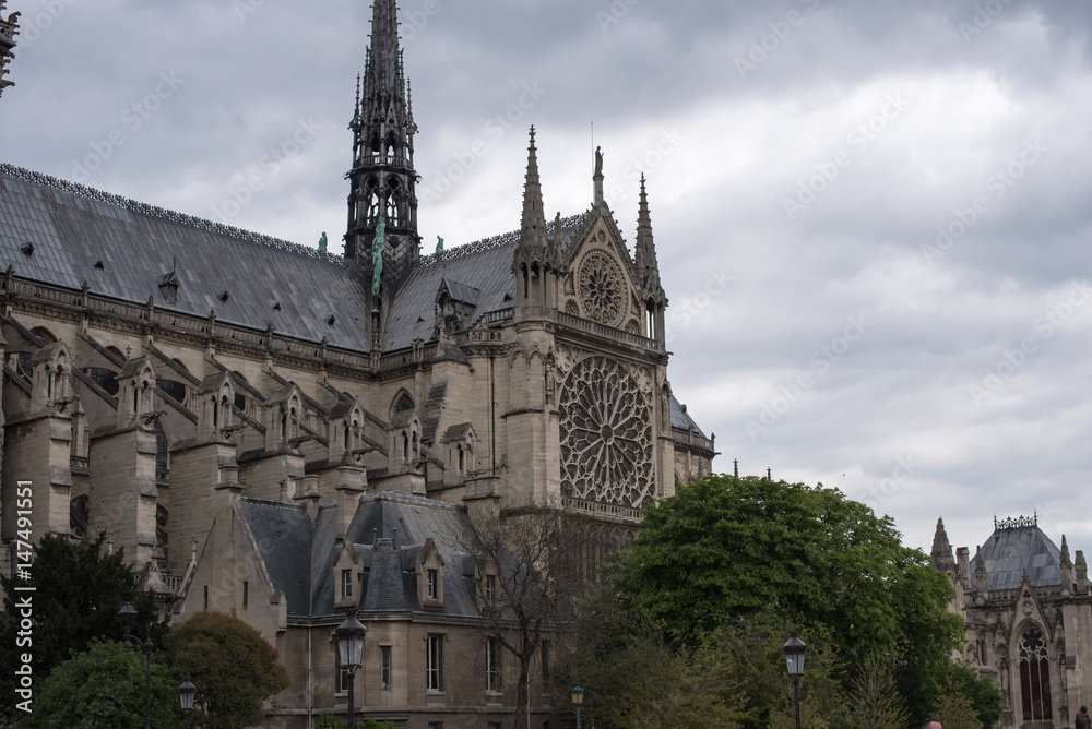View of Notre Dame Cathedral, Paris, France