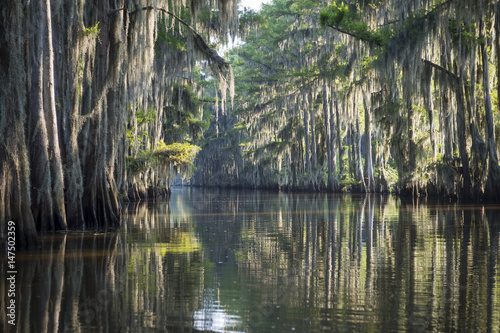 Fotografia Still misty morning view of the scenic waters of Caddo Lake, the Texas - Louisia