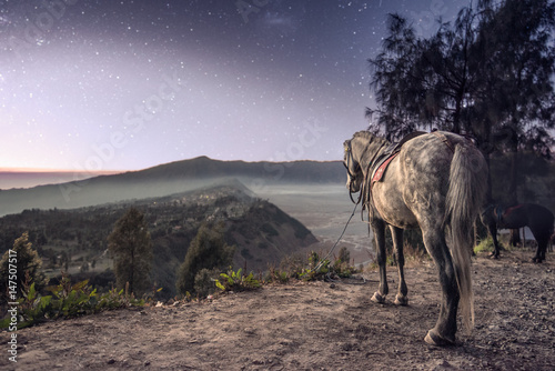 Horse and Village at Dusk - Bromo Volcano Indonesia
