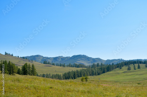 Mountain valley with trees and blue sky.