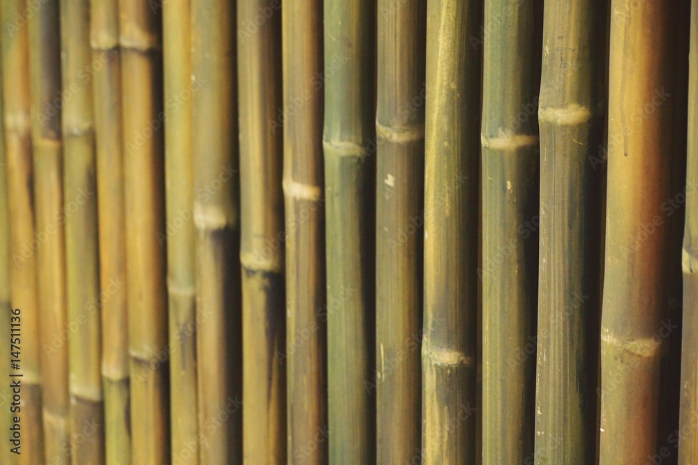 Line of bamboo fence wall background selective focus Line of bamboo fence wall background selective focus