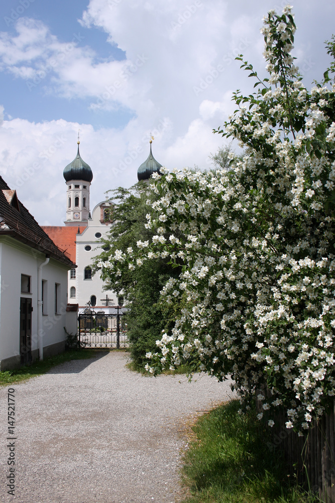 Kloster Benediktbeuern im Frühling