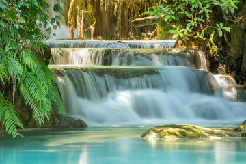 Wandcirkels Toilet Kuang Si watervallen in Laos  © Mazur Travel