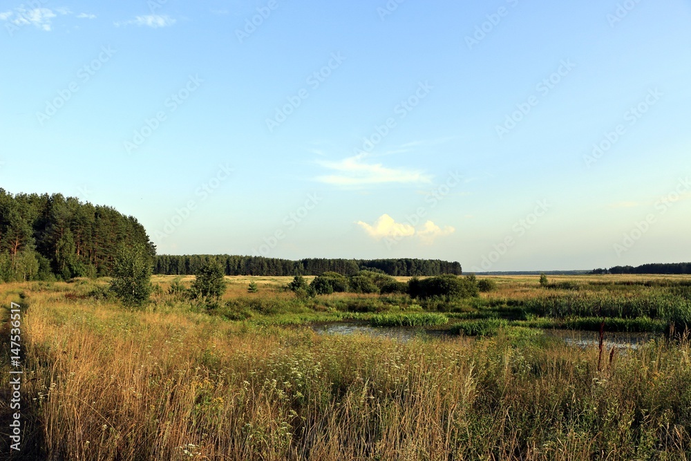 Fototapeta premium Лесостепь в Белоруссии летом