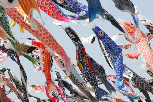 Wallpaper Mural Japanese carp kites, decoration on the Children's Day Torontodigital.ca