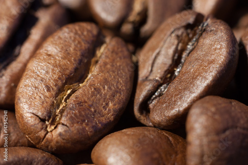 Two coffee beans macro view