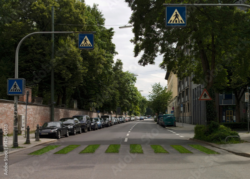 Pedestrian crossing made out of grass photo