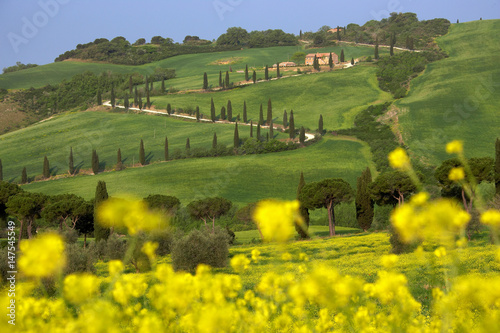 Orcia valley in spring photo