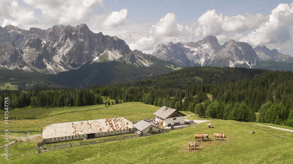 Alpe di Nemes hut and Sesto Dolomites in the background, South Tyrol,Italy Alpe di Nemes hut and Sesto Dolomites in the background, South Tyrol,Italy