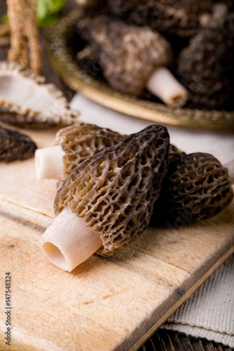 Fresh morchella conica, seasonal mushrooms