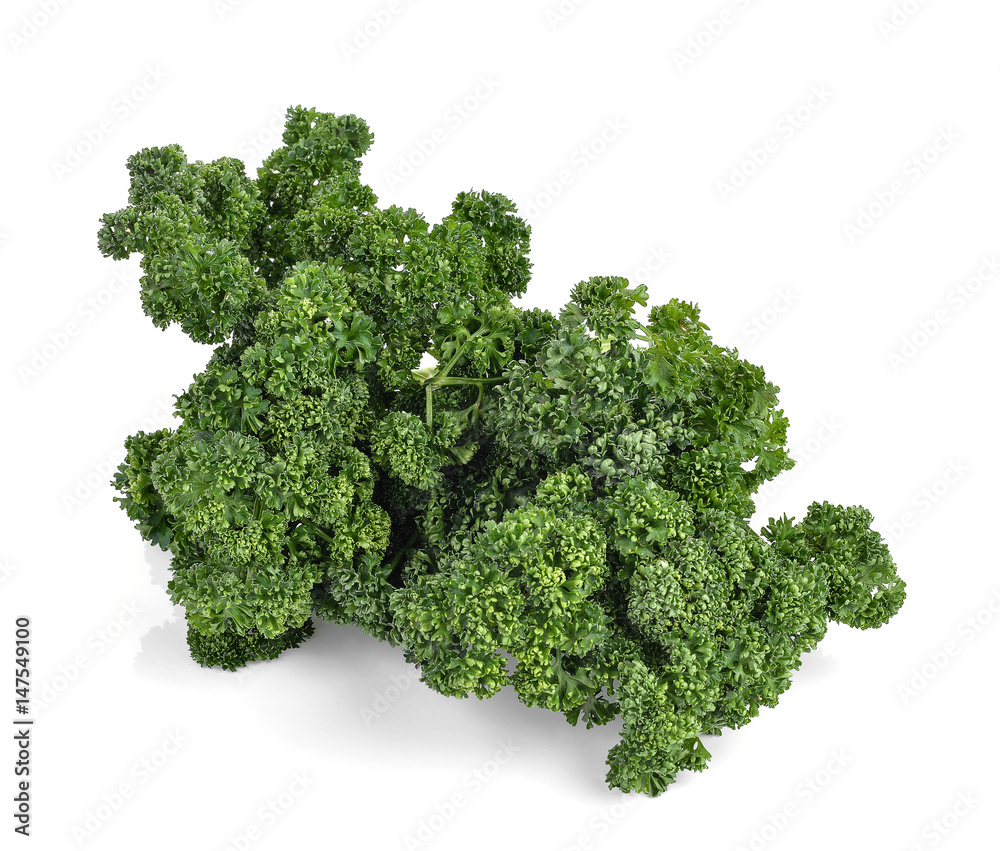 fresh parsley isolated on white fresh parsley isolated on white