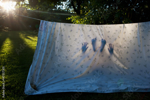 Child in homemade den made from sheet photo