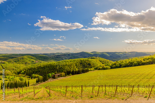 RADDA IN CHIANTI, ITALY - APRIL 17, 2017 - View of the countryside near the town of Radda with a vineyard and a villa.