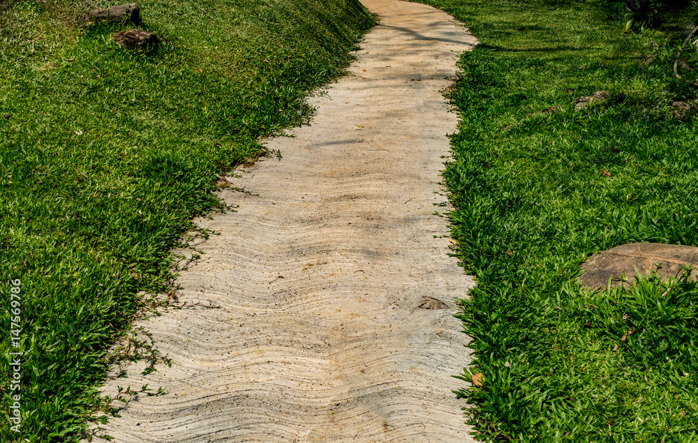 Concrete Pathway in garden Concrete Pathway in garden