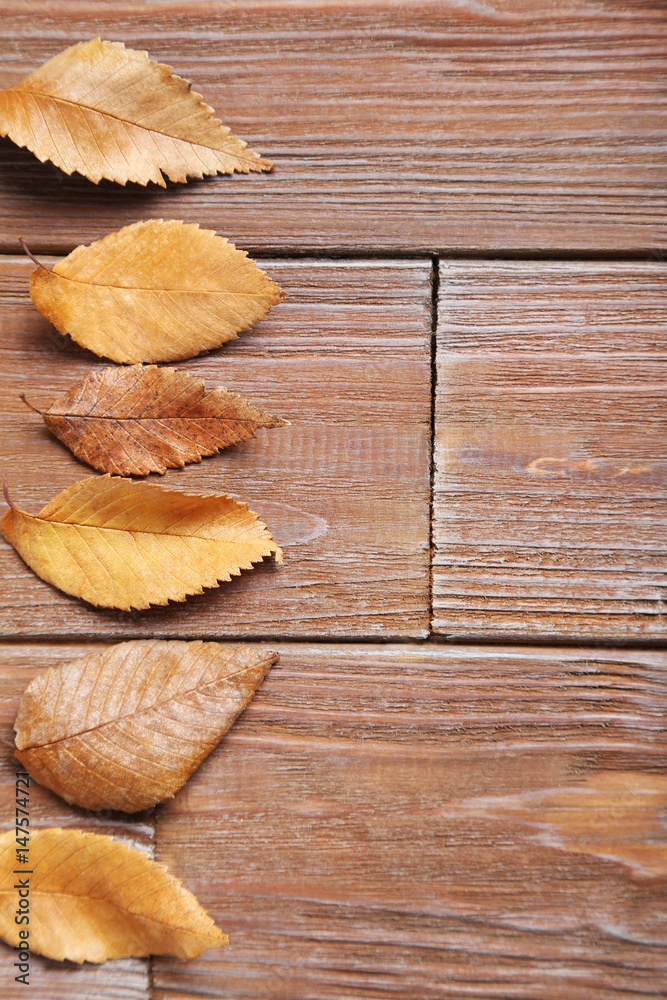 Autumn leafs on brown wooden table Autumn leafs on brown wooden table