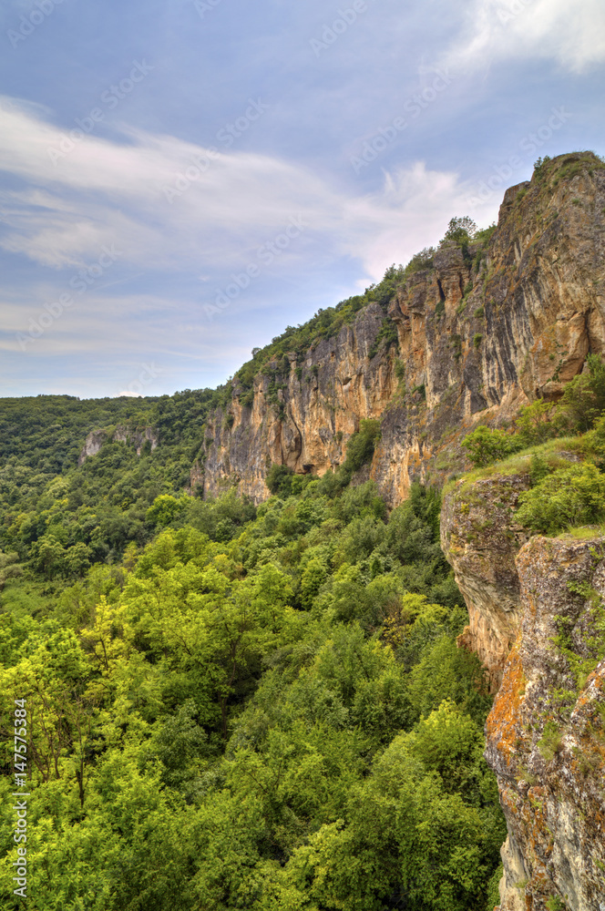 Naklejka premium Beautiful summer landscape