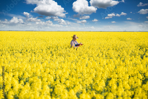 Farmer Standing in rapeseed and Controlling The Growth of Plants photo