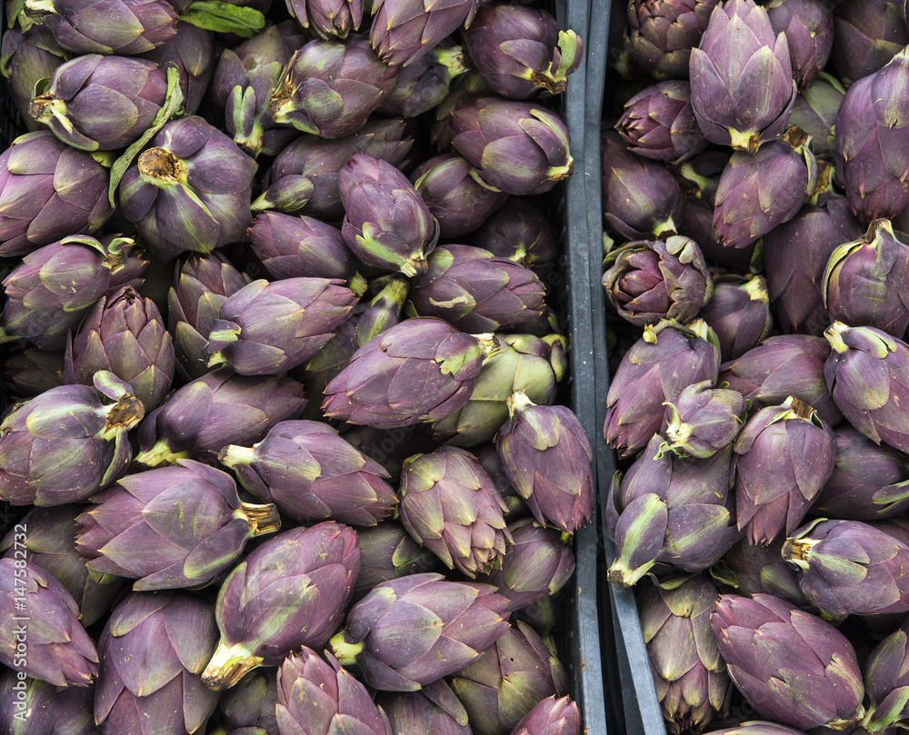 Obraz premium Green and purple Italian Artichokes 