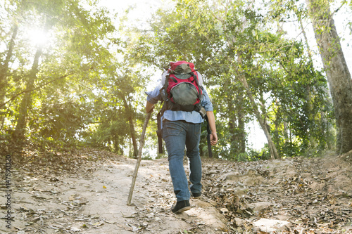 Asian hipster man jungle trekking, walking outdoors in the deep fresh forest.