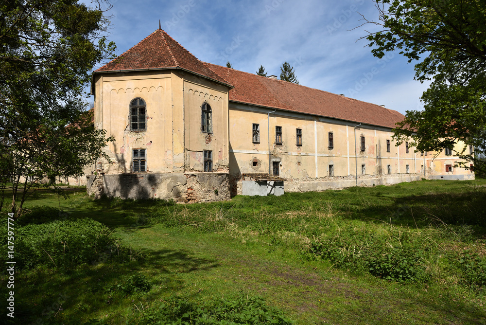 Old abandoned castle ruins in the forest