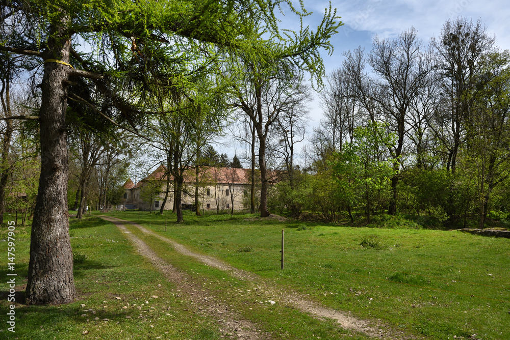 Old abandoned castle ruins in the forest