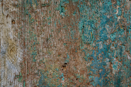 old and vintage wood peeling blue color paint wood background