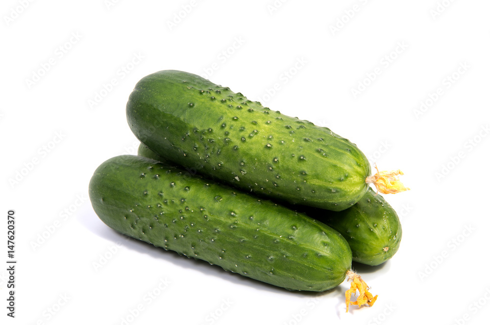Cucumbers on a white background. In this photo we see a fresh cucumber on a white background. Cucumbers on a white background. In this photo we see a fresh cucumber on a white background.