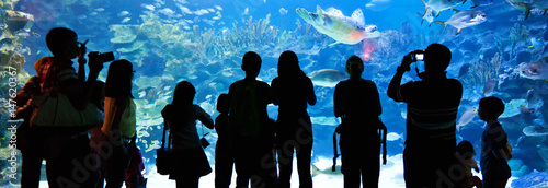 Photography sea life aquarium kuala lumpur
