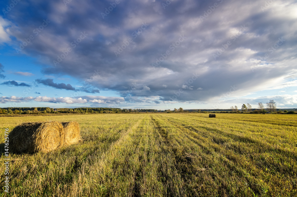 осеняя панорама сельского поля со скошенной травой на закате дня, Россия, Урал, август
