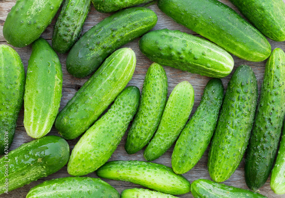 Ripe cucumbers Ripe cucumbers