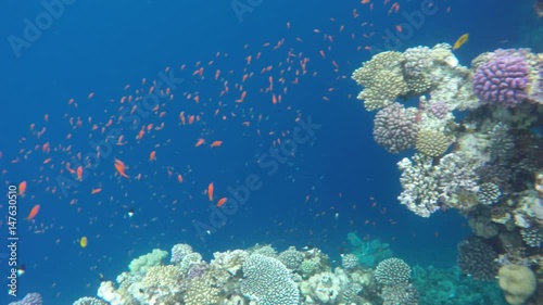 Variety of fish and corals near the Blue Hole. Blue abyss. Blue Hole is a diving location on east Sinai, a few kilometres north of Dahab, Egypt on the coast of the Red Sea.