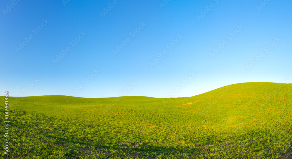 Green grass hills meadows landscape with bright blue sky on a bright sunny day. Outdoor nature background. Green grass hills meadows landscape with bright blue sky on a bright sunny day. Outdoor nature background.
