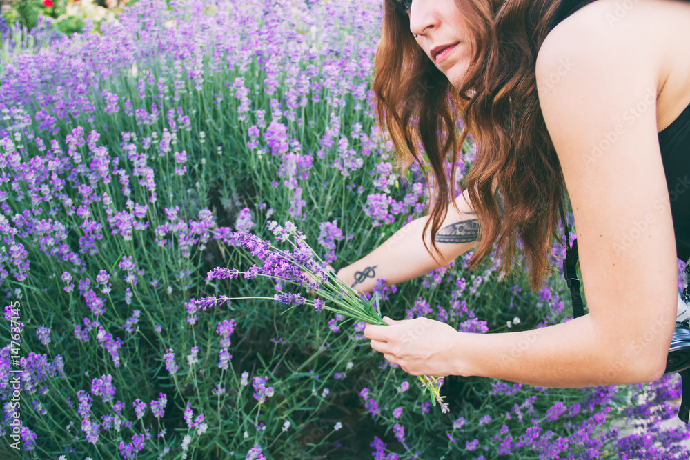 Chica joven recogiendo romero en flor Chica joven recogiendo romero en flor