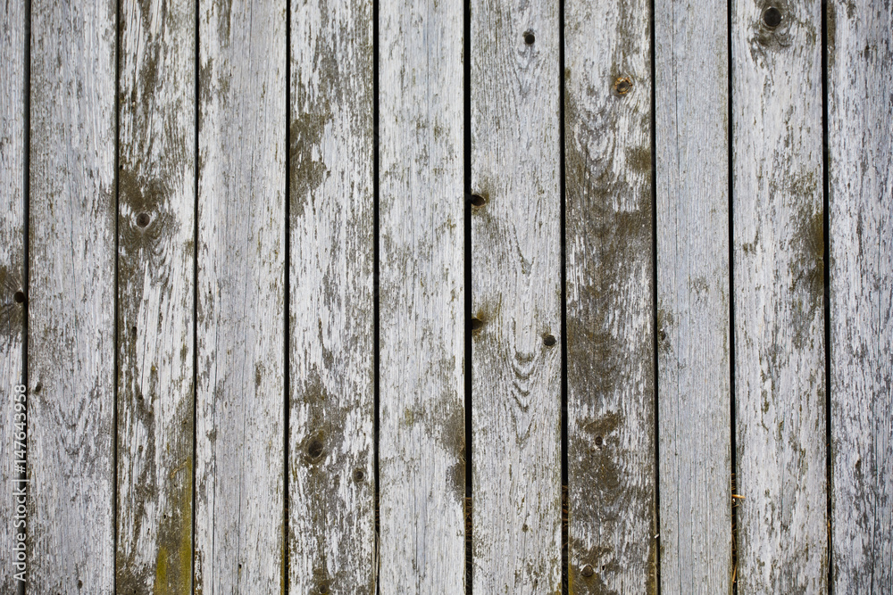 Obraz premium old wooden planks